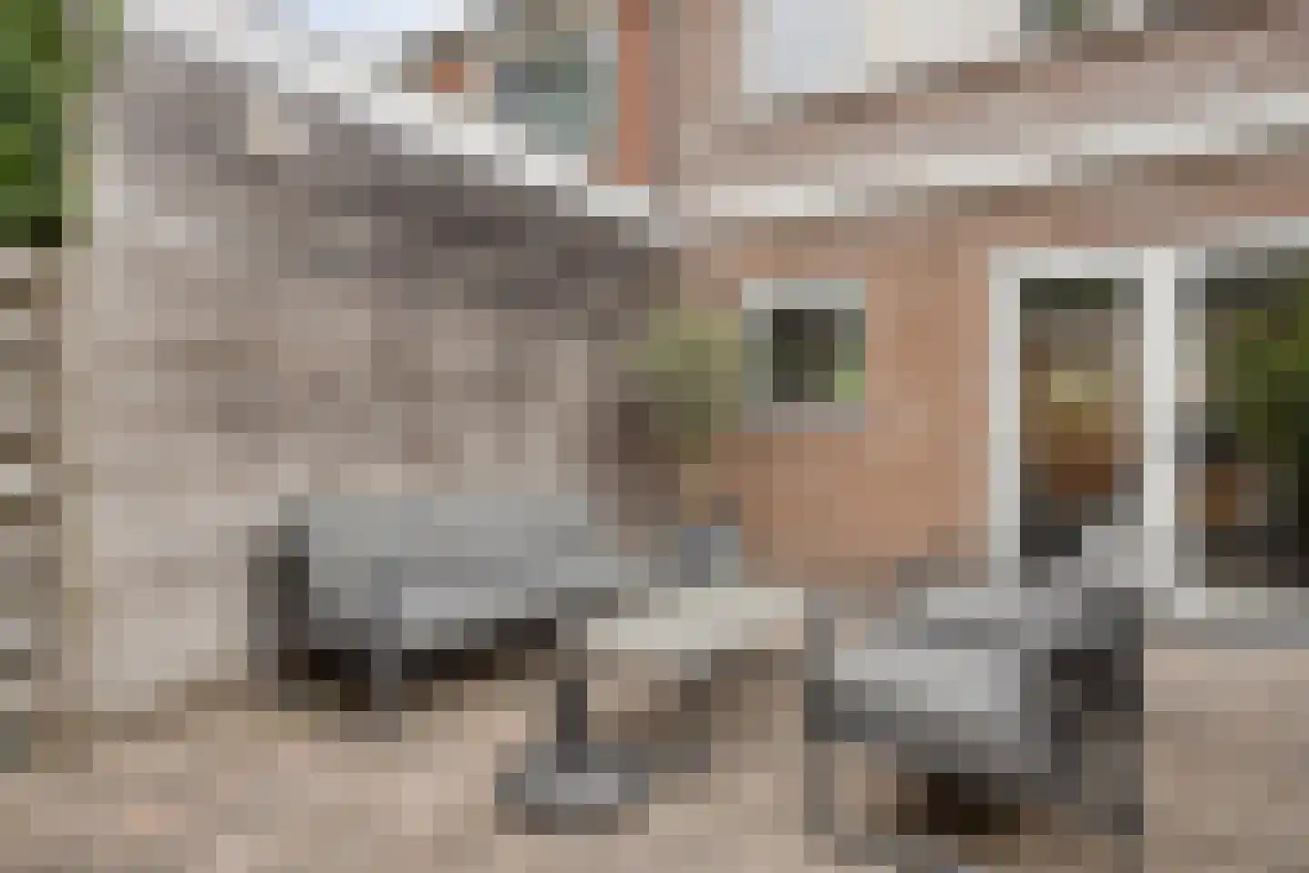 Vreewijk 26 Lisse thumbnail 17