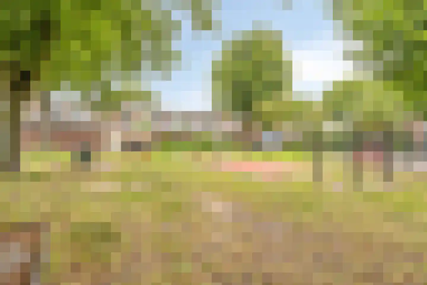 Vreewijk 26 Lisse thumbnail 29