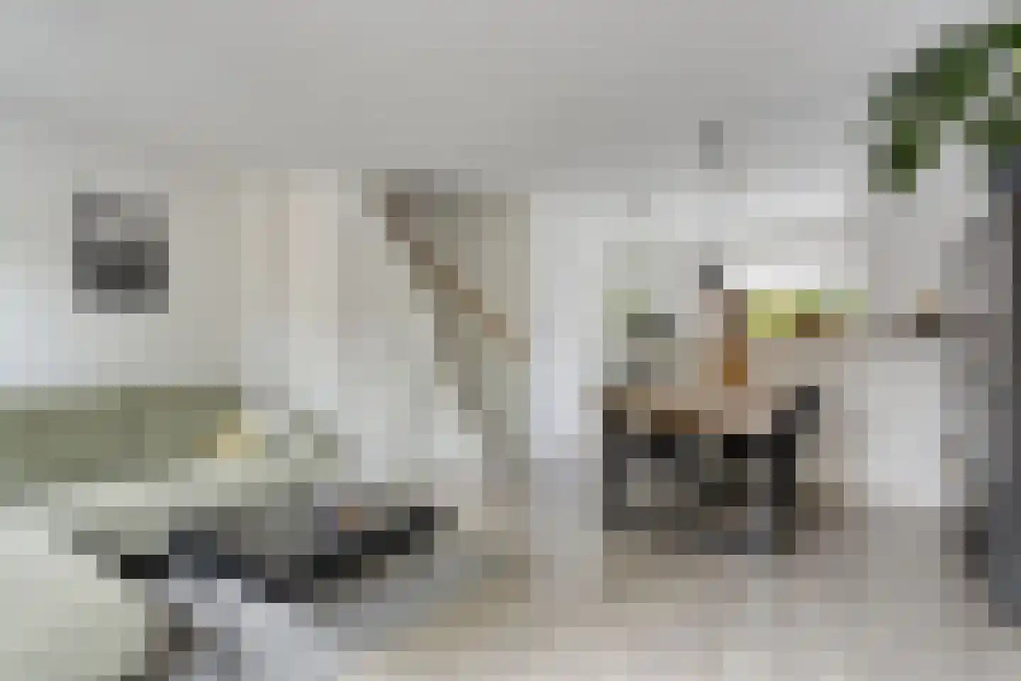 Vreewijk 26 Lisse thumbnail 5
