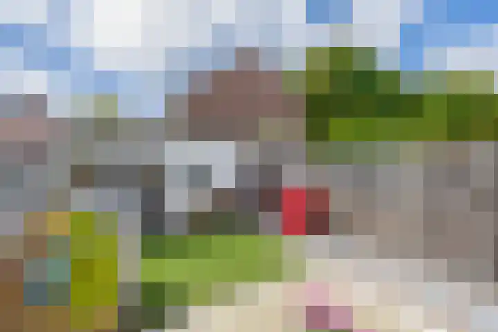 Vreewijk 42 Lisse thumbnail 27