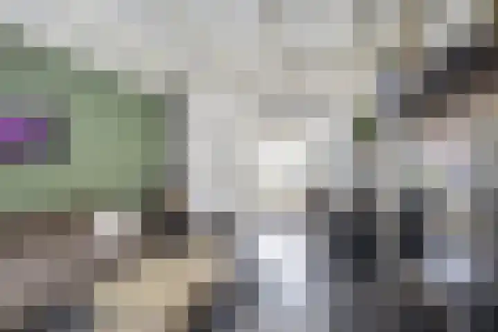 Vreewijk 42 Lisse thumbnail 8