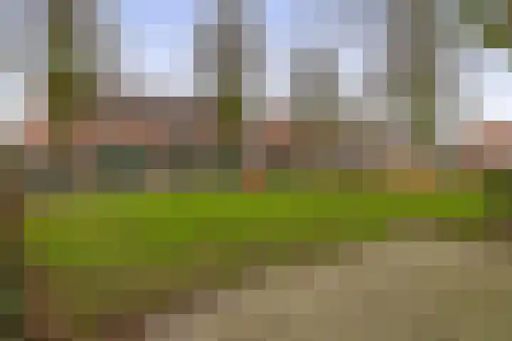 Vreewijk 46 Lisse thumbnail 40