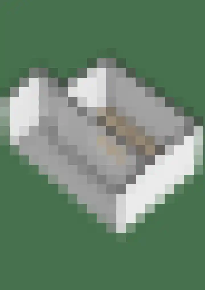 Vreewijk 46 Lisse thumbnail 50
