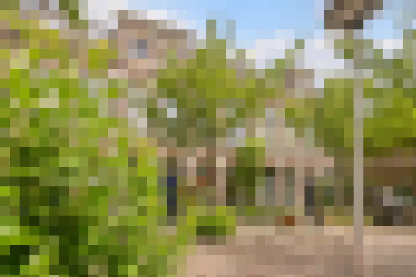 Vreewijkstraat 3 Leiden thumbnail 5