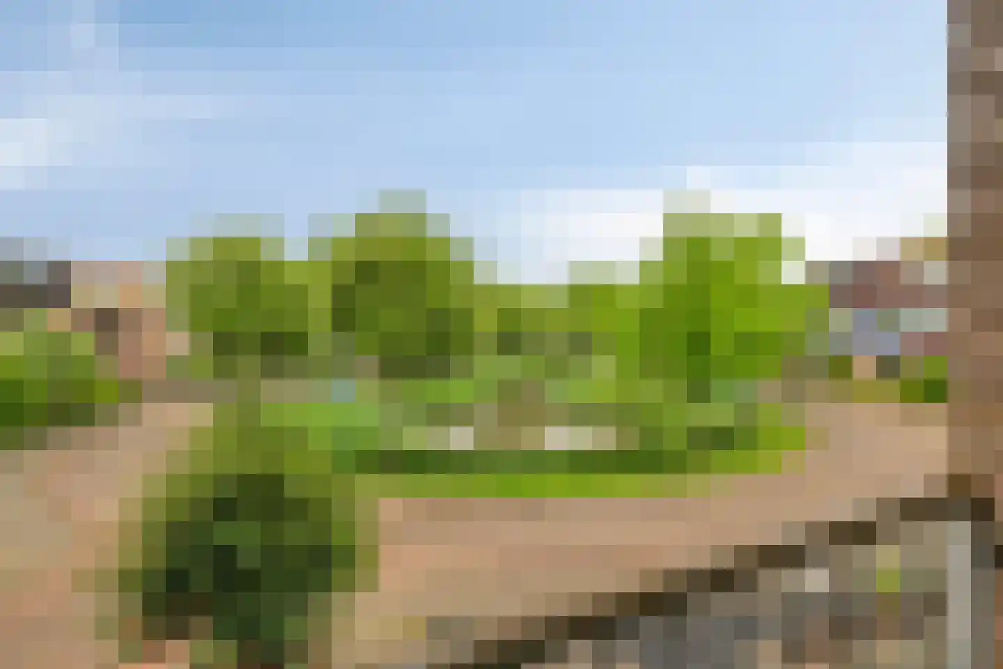 Vrekenhorst 121 Veenendaal thumbnail 10