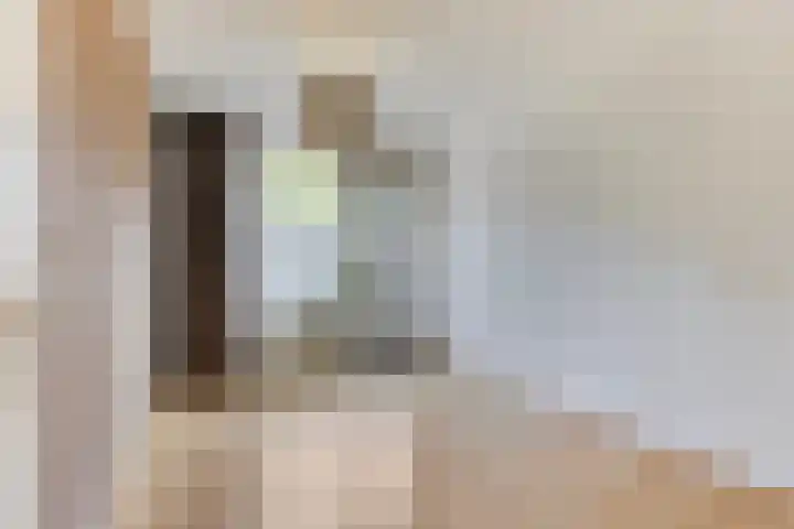 Vrekenhorst 125 Veenendaal thumbnail 12