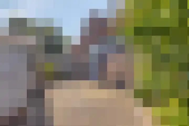 Vrekenhorst 125 Veenendaal thumbnail 16