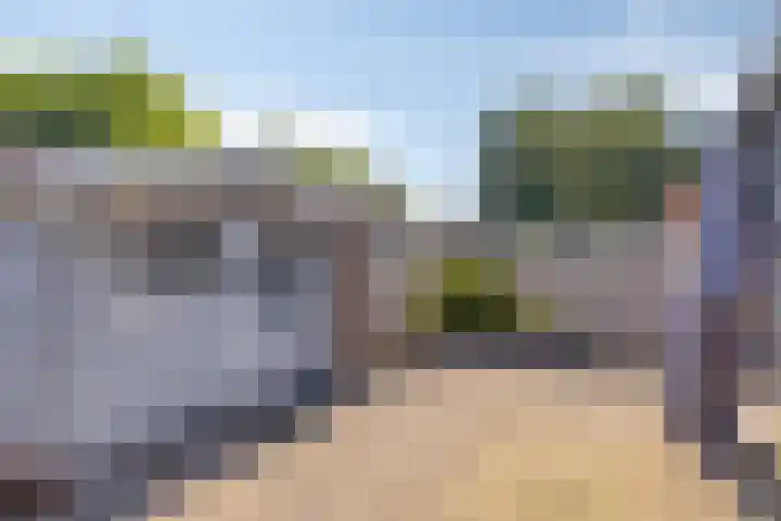 Vrekenhorst 125 Veenendaal thumbnail 17