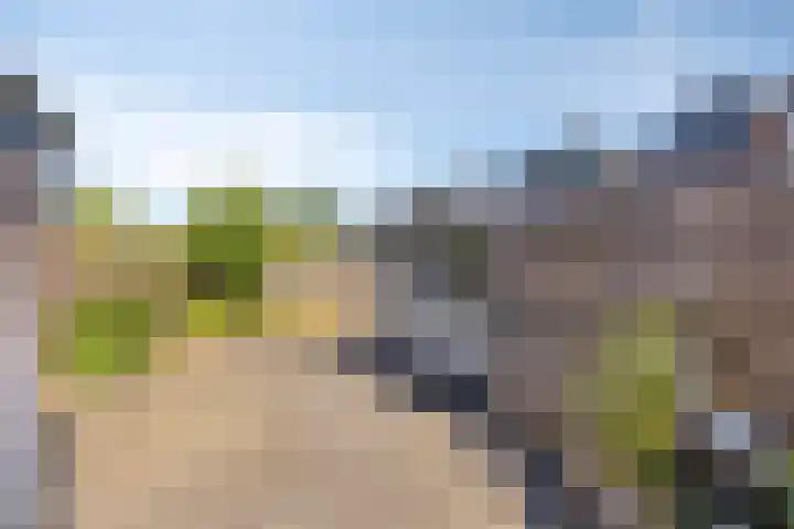 Vrekenhorst 125 Veenendaal thumbnail 18