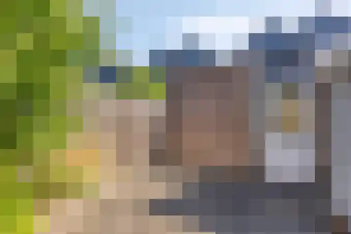 Vrekenhorst 125 Veenendaal thumbnail 19