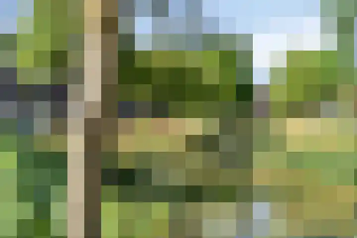 Vrekenhorst 125 Veenendaal thumbnail 23