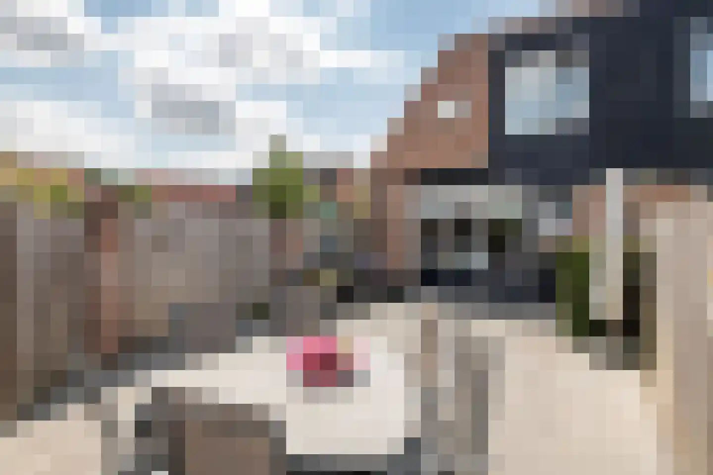 Vrekenhorst 62 Veenendaal thumbnail 16