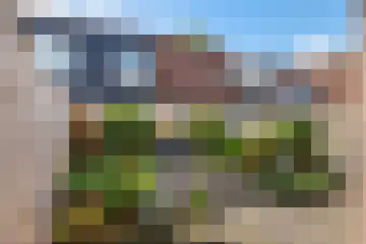 Vrekenhorst 64 Veenendaal thumbnail 15