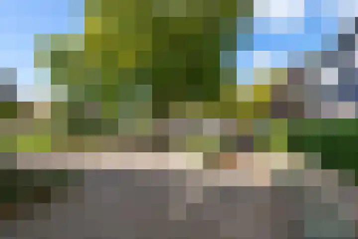Vrekenhorst 64 Veenendaal thumbnail 32
