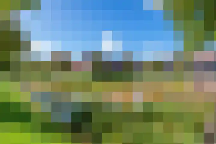 Vrekenhorst 64 Veenendaal thumbnail 33