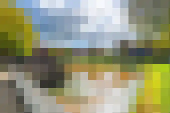 Vrekenhorst 64 Veenendaal thumbnail 4