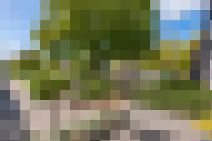 Vrekenhorst 64 Veenendaal thumbnail 5