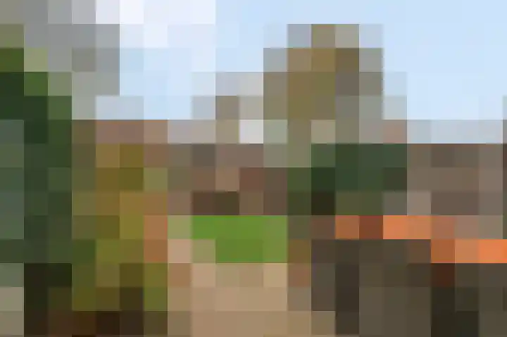 Vrekenhorst 77 Veenendaal thumbnail 26