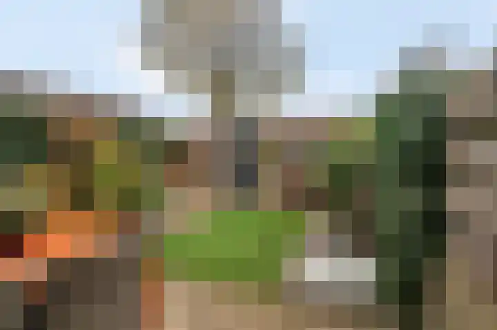 Vrekenhorst 77 Veenendaal thumbnail 27