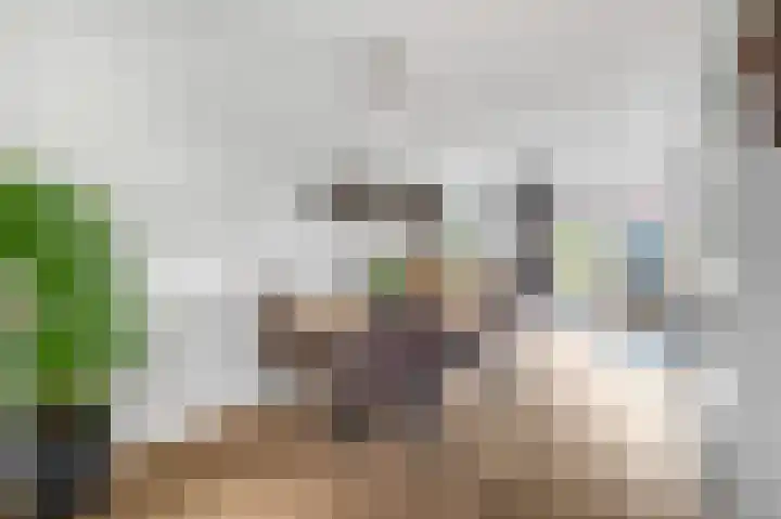 Vrekenhorst 77 Veenendaal thumbnail 9