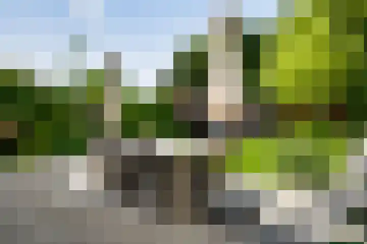 Vrerenstraat 10 Maastricht thumbnail 21