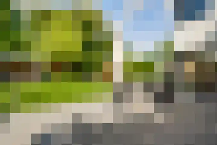 Vrerenstraat 10 Maastricht thumbnail 22