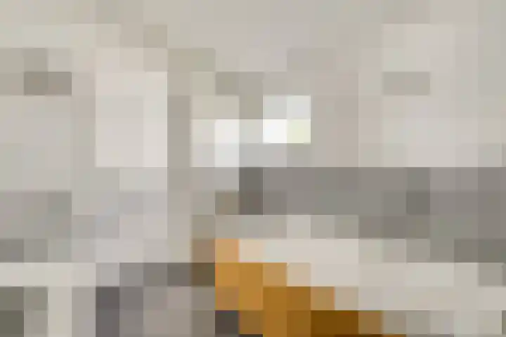 Vrerenstraat 10 Maastricht thumbnail 34