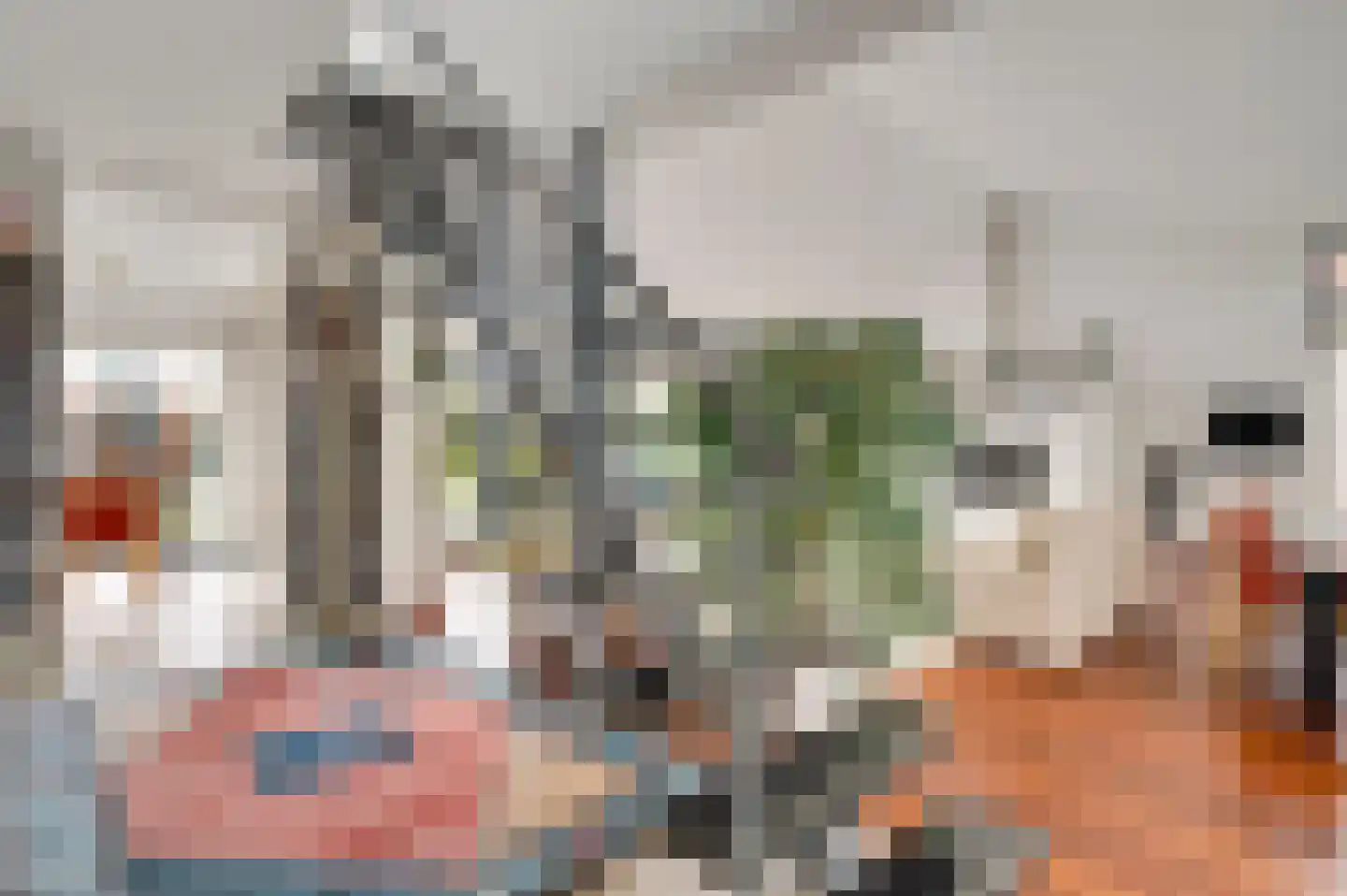 Vrerenstraat 9 Maastricht thumbnail 10