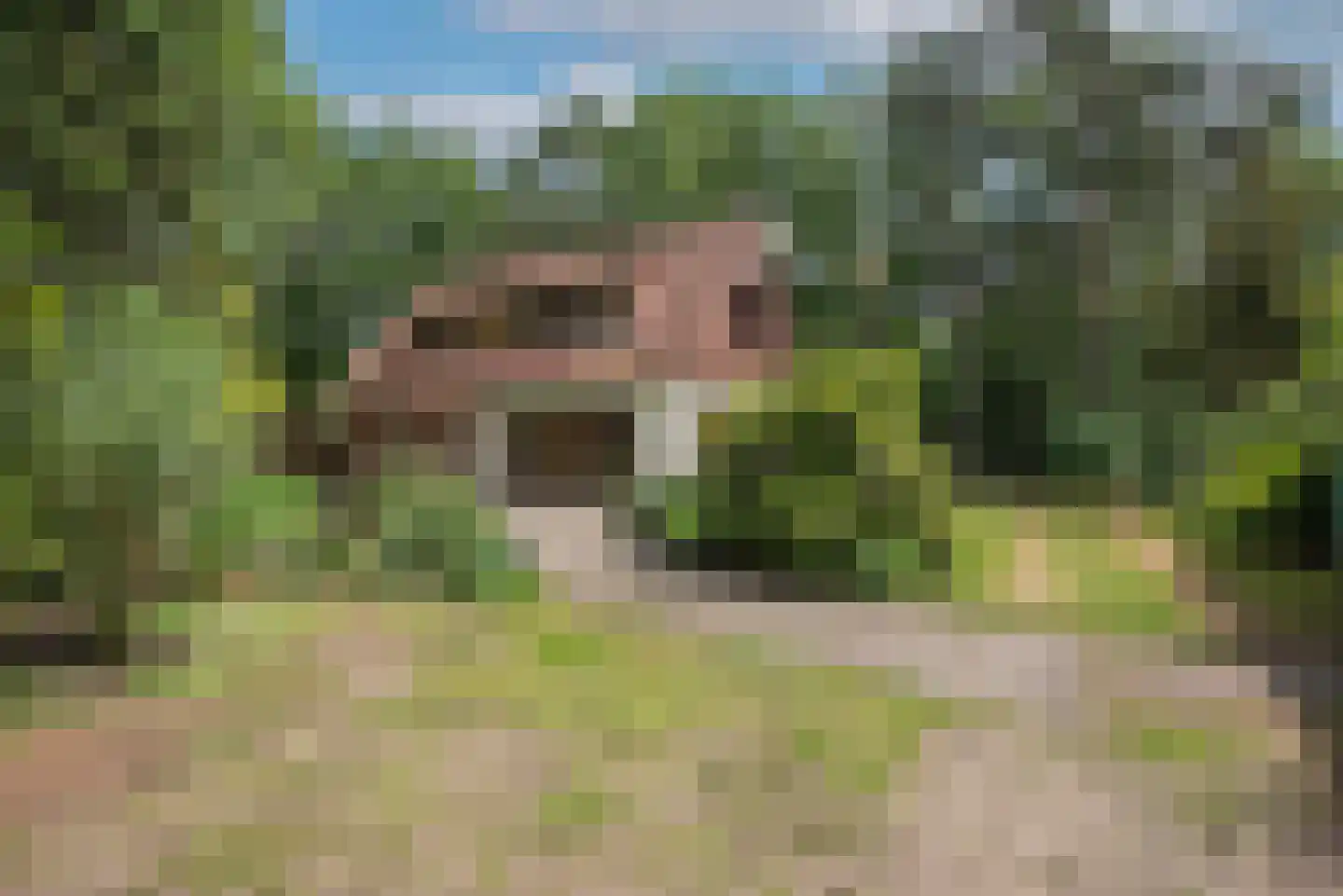 Vretberg 23 Enschede thumbnail 10