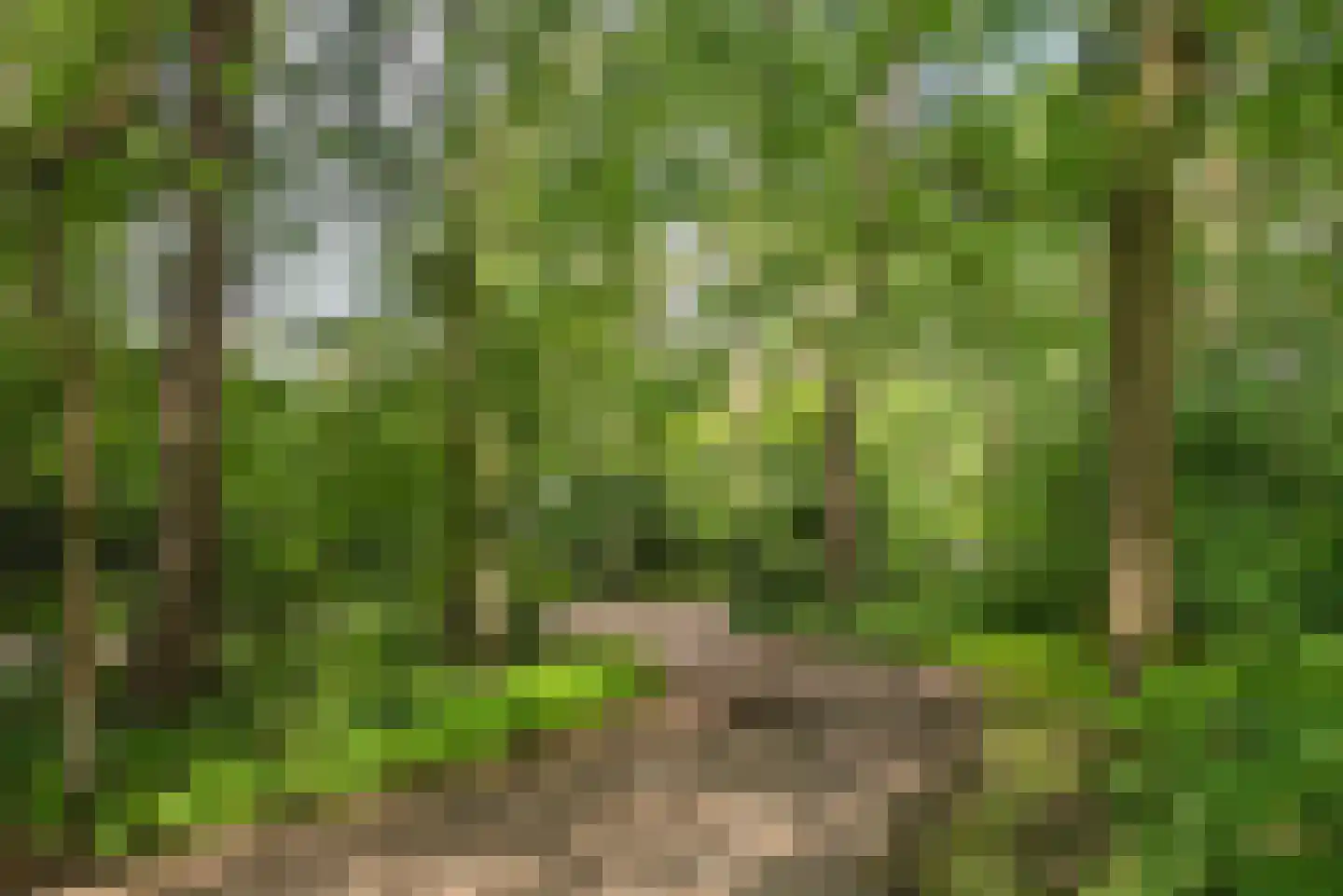 Vretberg 23 Enschede thumbnail 11
