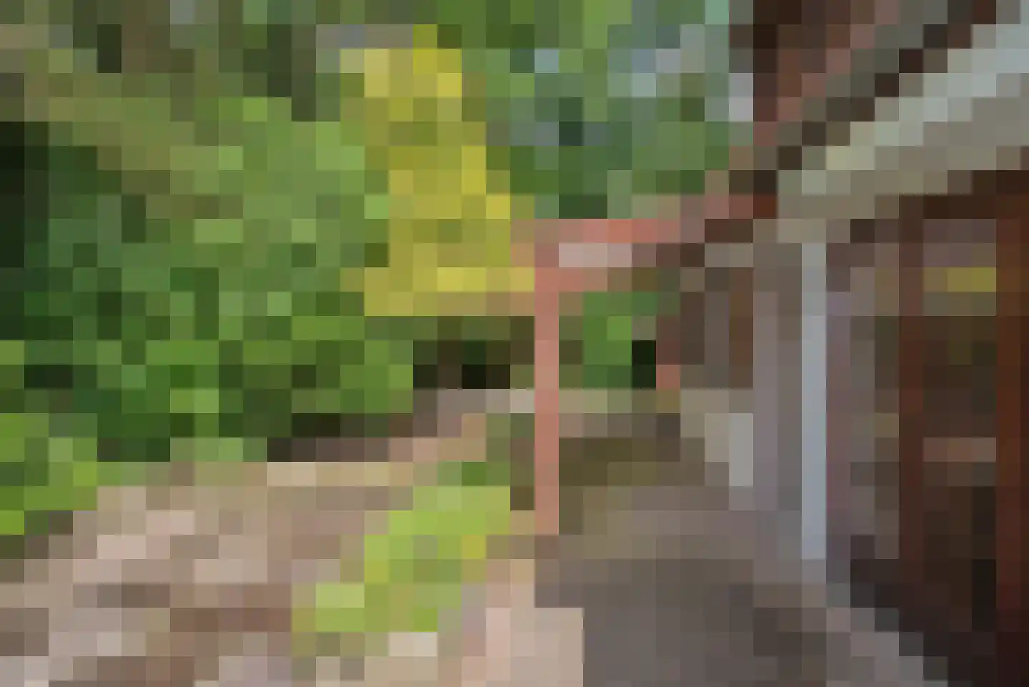 Vretberg 23 Enschede thumbnail 12