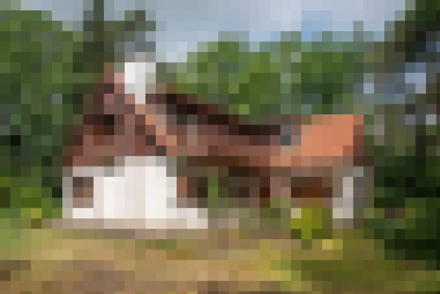 Vretberg 23 Enschede thumbnail 18