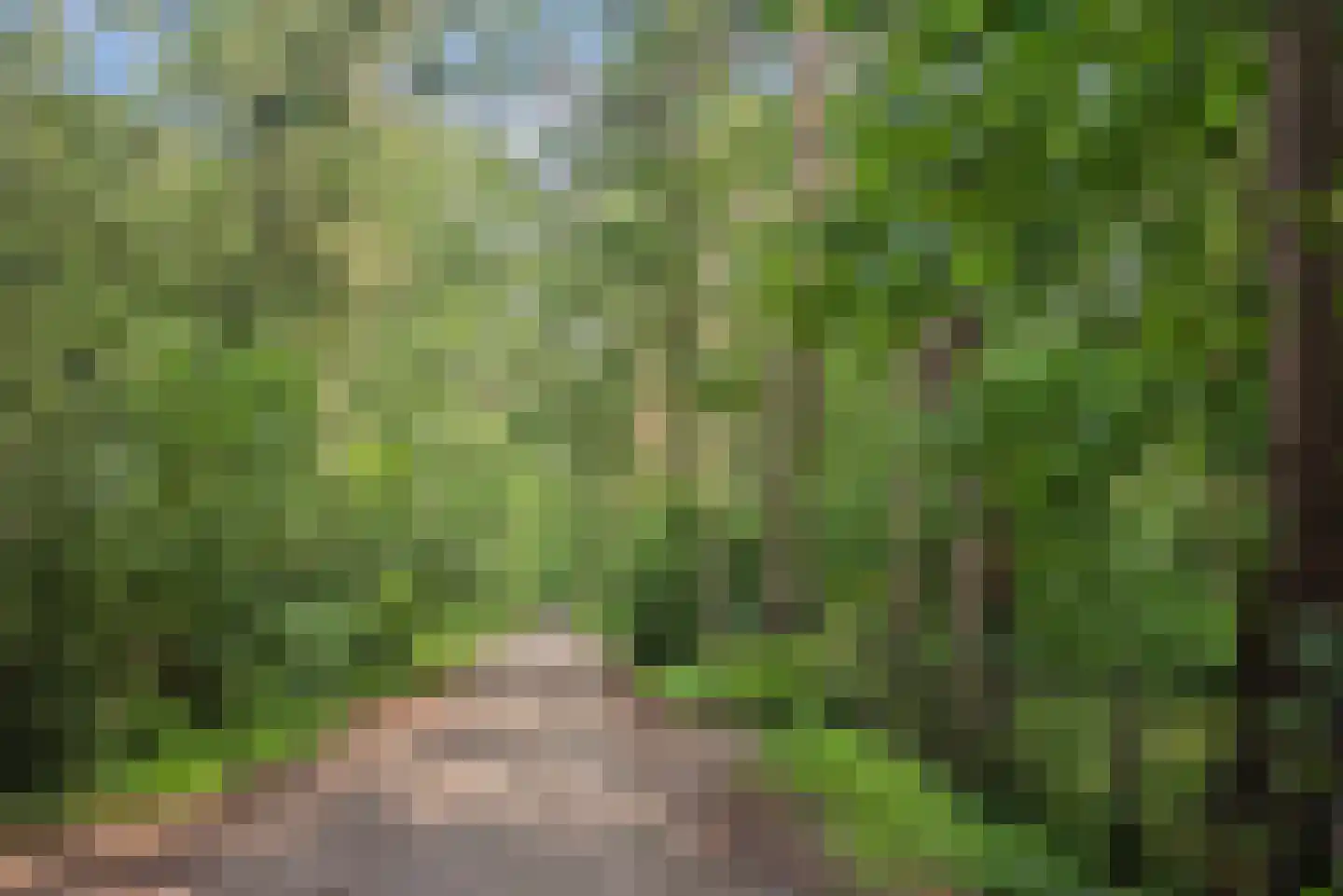 Vretberg 23 Enschede thumbnail 44