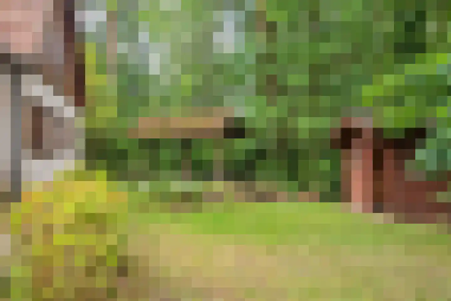 Vretberg 23 Enschede thumbnail 6