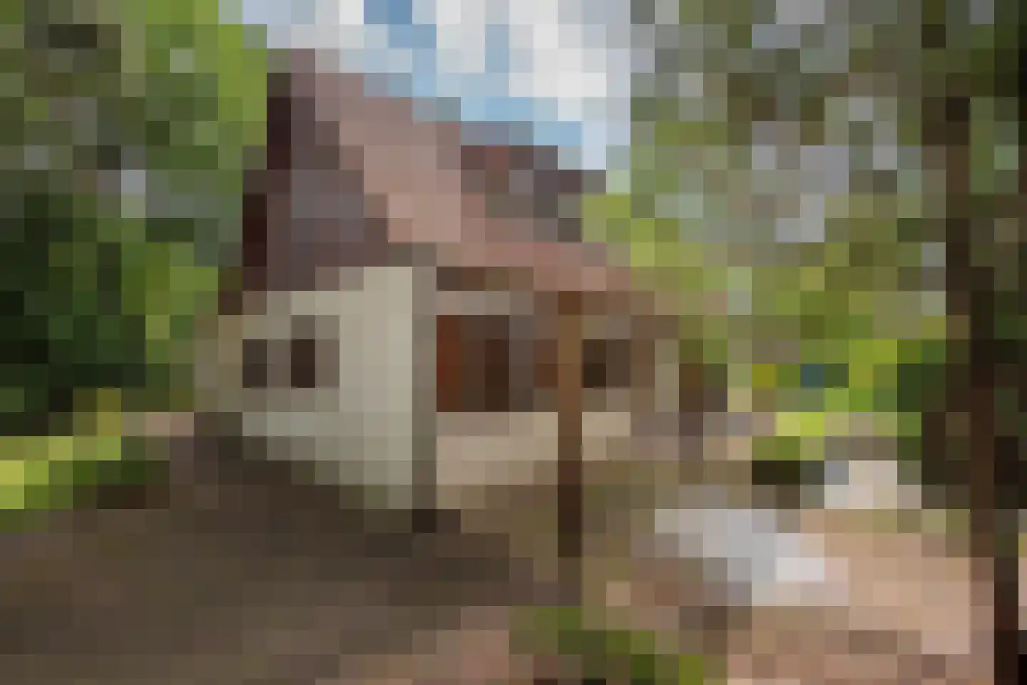 Vretberg 23 Enschede thumbnail 8
