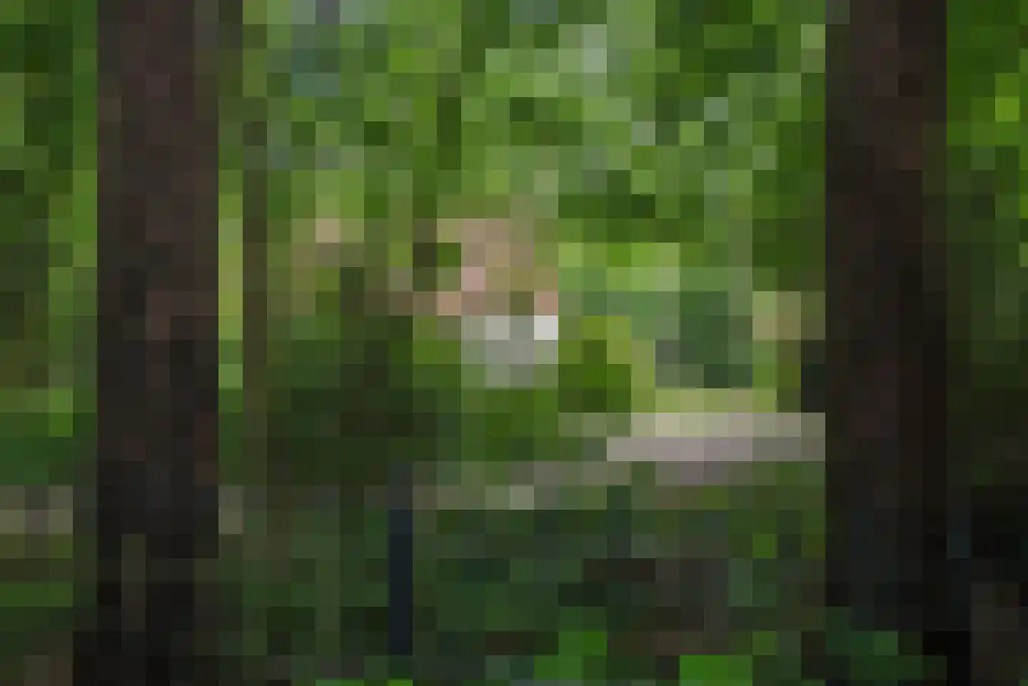 Vretberg 23 Enschede thumbnail 9