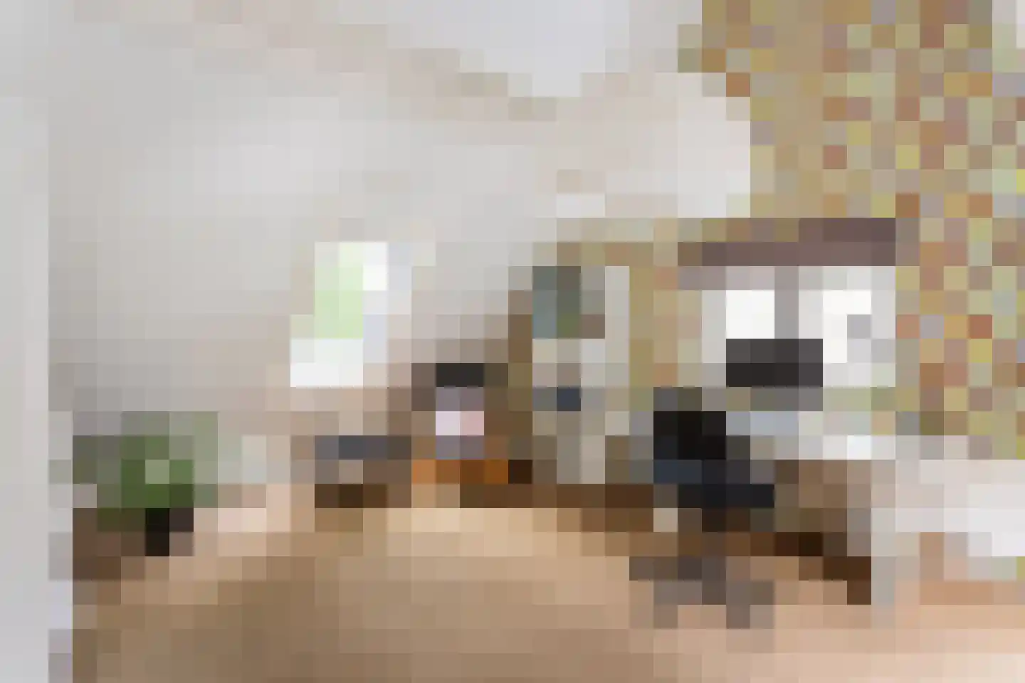 Vretberg 41 Enschede thumbnail 18