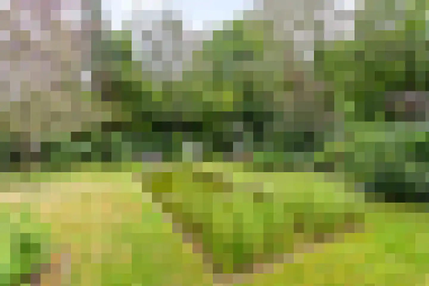 Vretberg 41 Enschede thumbnail 23