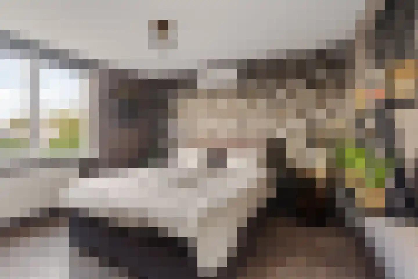 Vreugdedans 26 Capelle aan den IJssel thumbnail 14