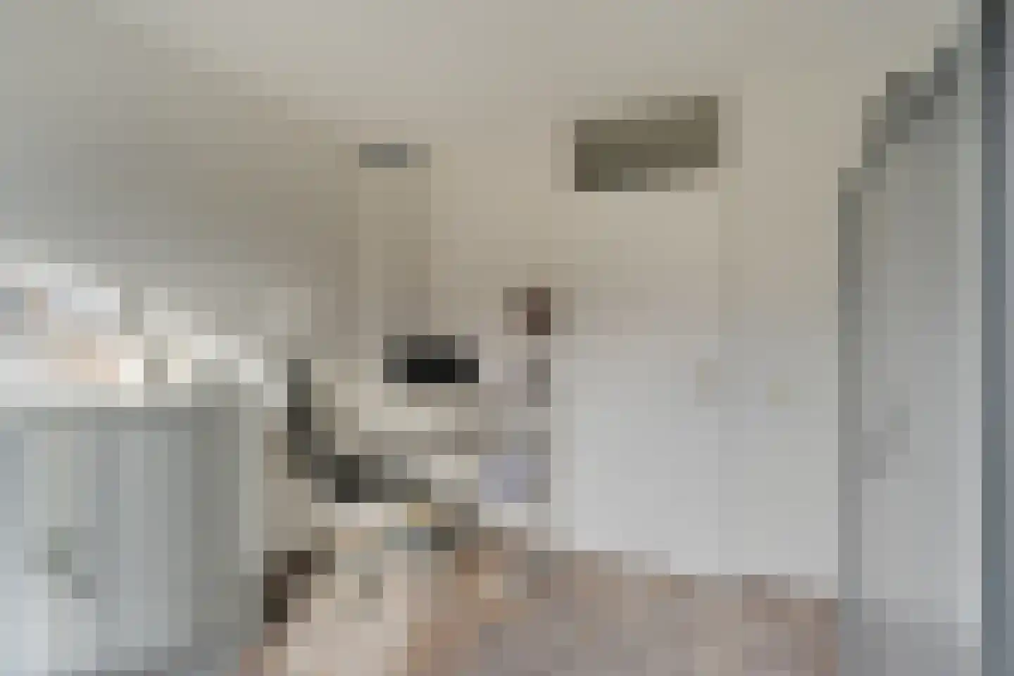Vreugdedans 26 Capelle aan den IJssel thumbnail 18