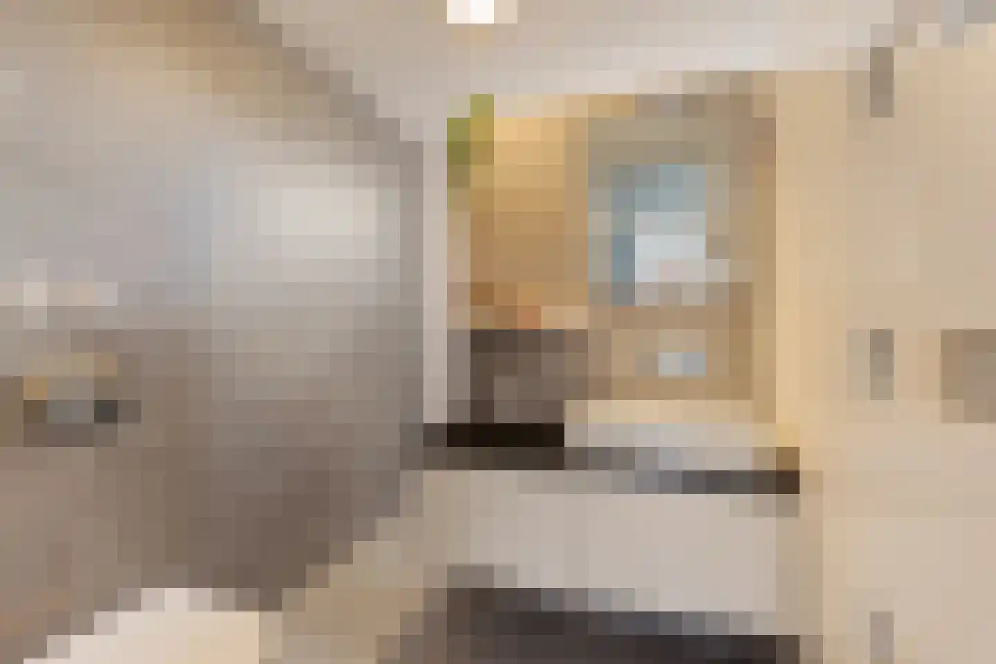Vreugdedans 26 Capelle aan den IJssel thumbnail 21