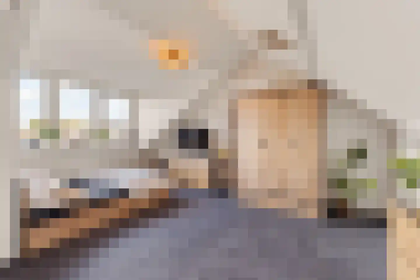 Vreugdedans 26 Capelle aan den IJssel thumbnail 23