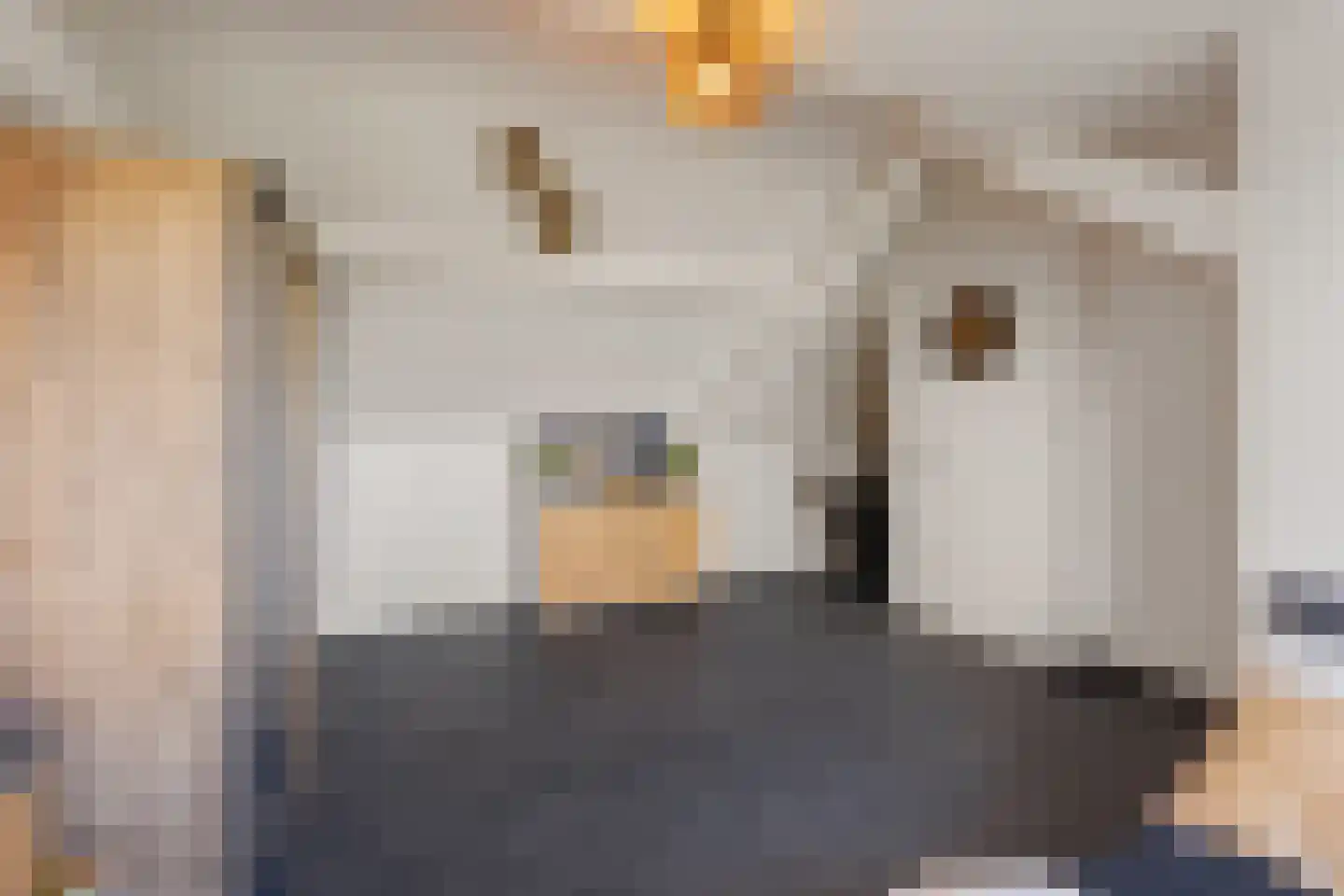 Vreugdedans 26 Capelle aan den IJssel thumbnail 24