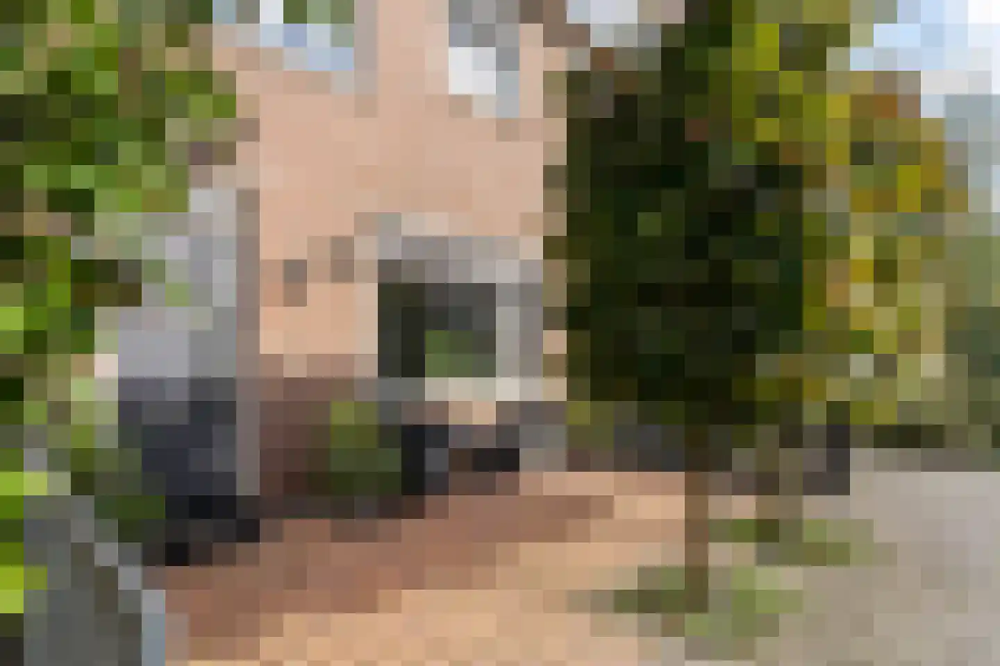 Vreugdedans 26 Capelle aan den IJssel thumbnail 29