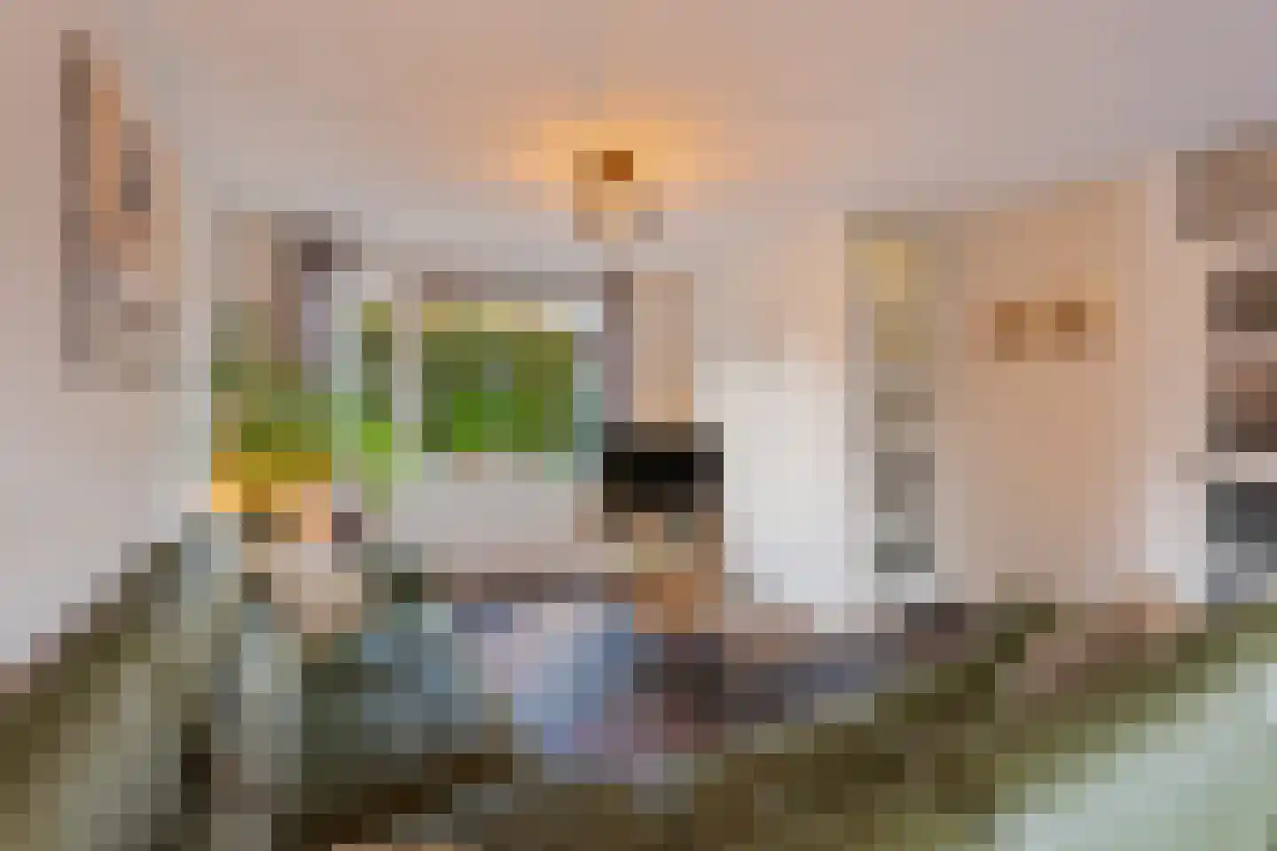 Vreugdedans 26 Capelle aan den IJssel thumbnail 8