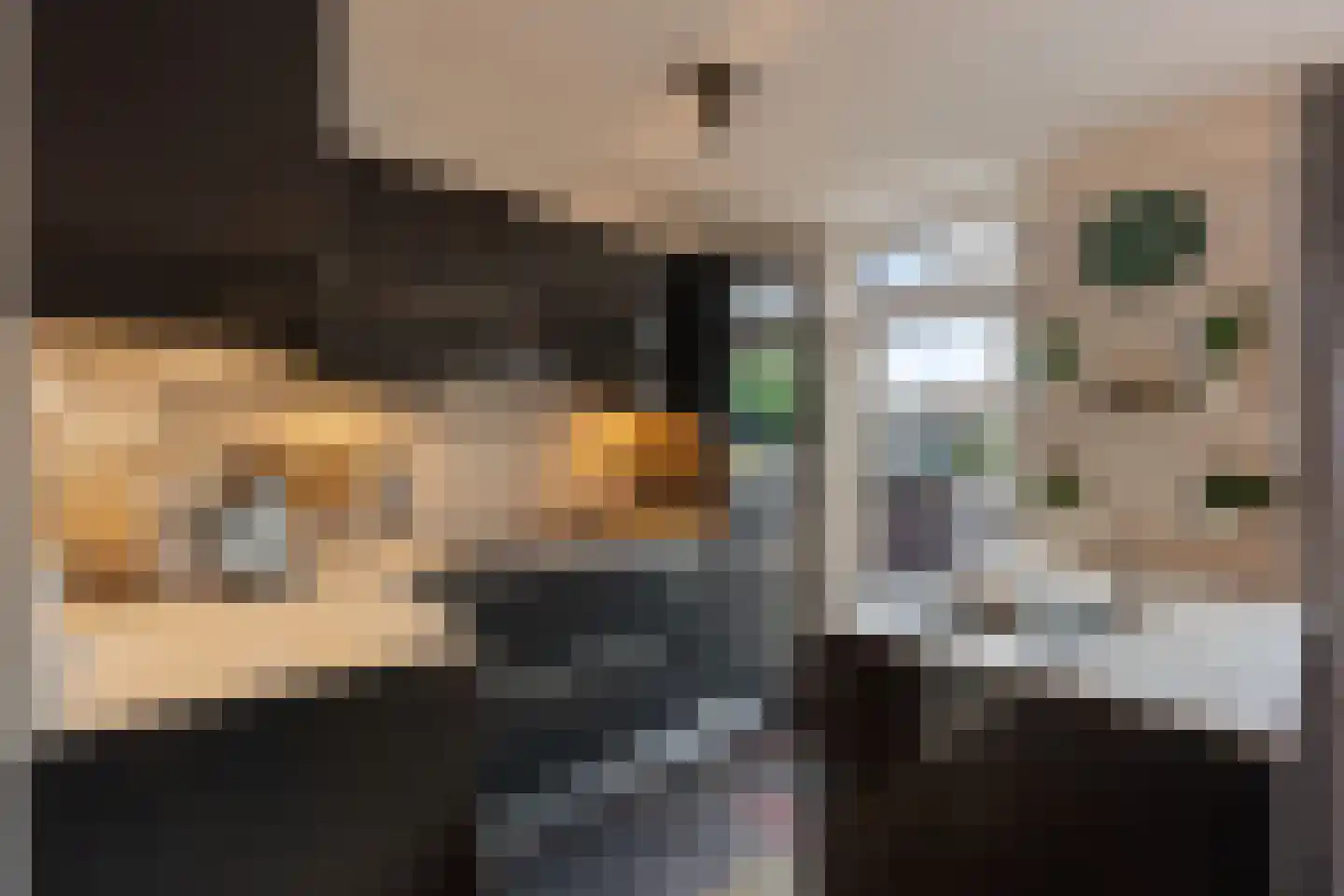 Vreugdedans 26 Capelle aan den IJssel thumbnail 9