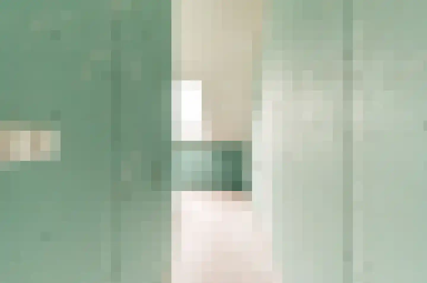 Vreugdenhilstraat 2 b Nijkerkerveen thumbnail 19