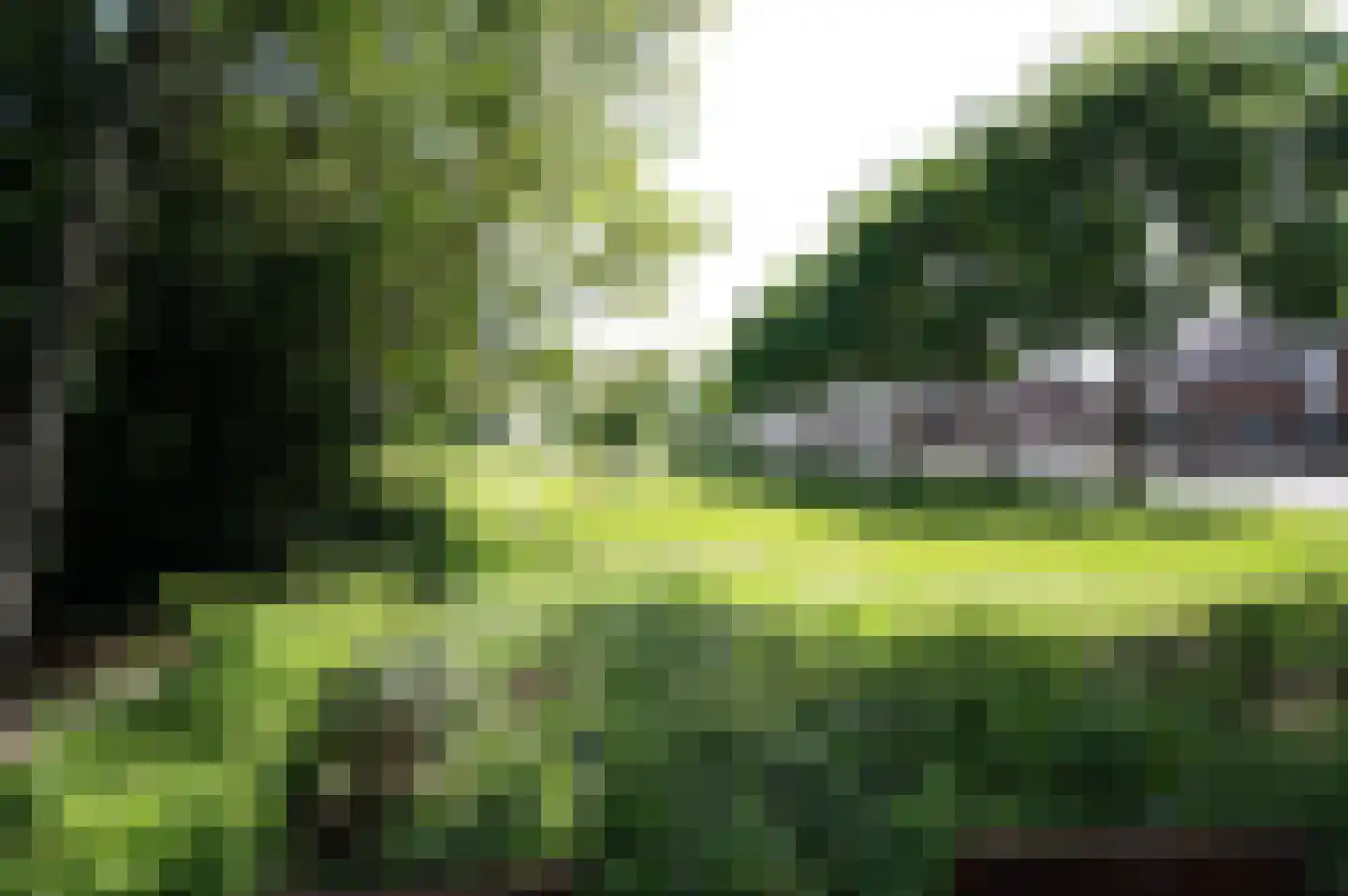 Vrieheidepark 4 Heerlen thumbnail 20