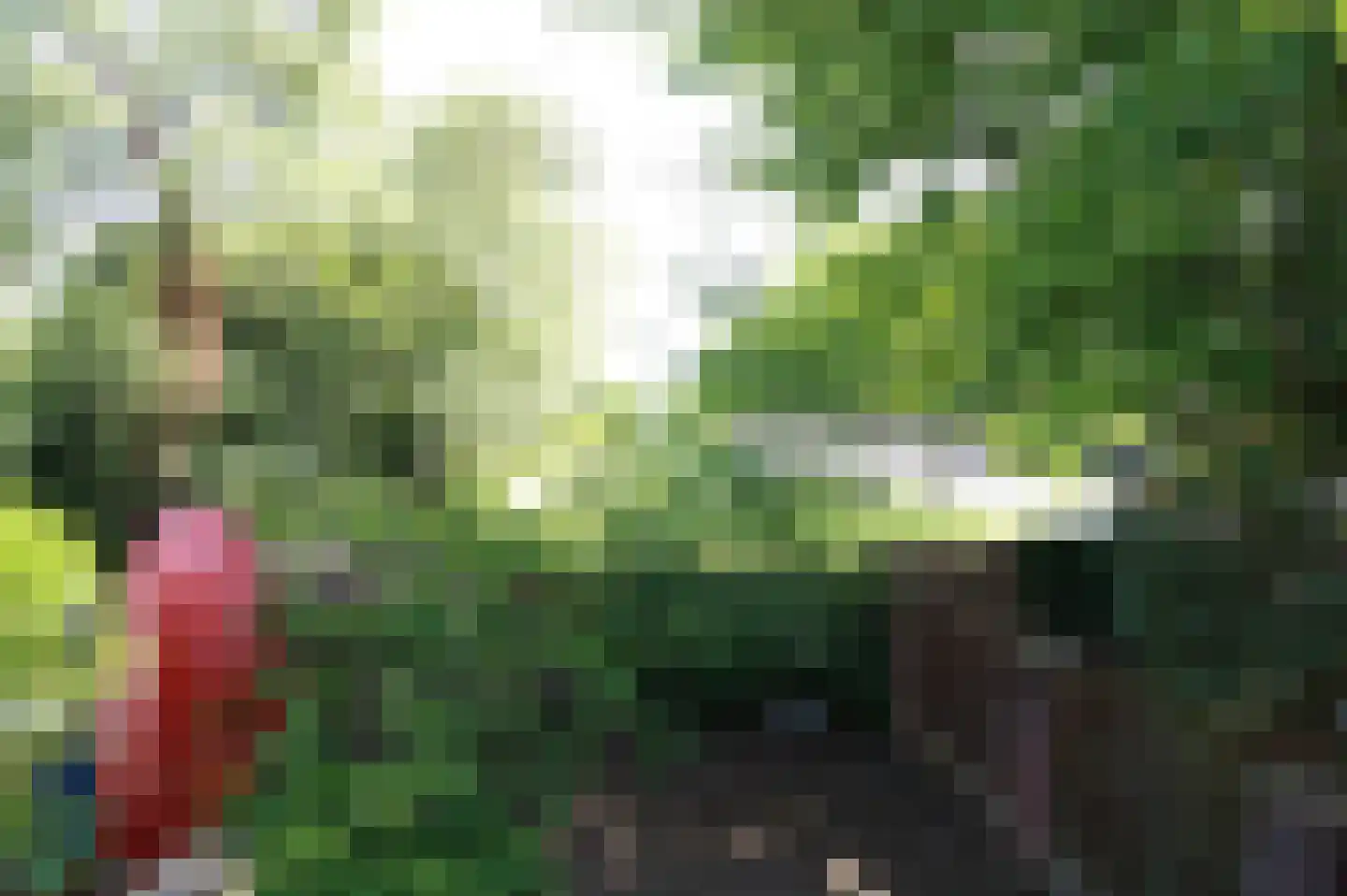 Vrieheidepark 4 Heerlen thumbnail 23
