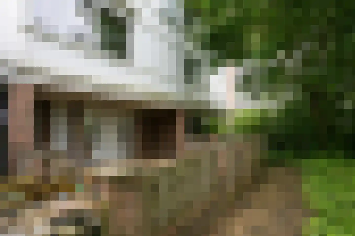 Vrieheidepark 46 Heerlen thumbnail 44
